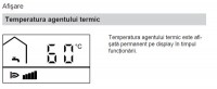 afisare temperatura Vitopend 100 WH1D